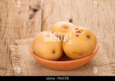 La pomme de terre ou de pommes de terre jaune créole sur la vieille table en bois (Solanum phureja) Banque D'Images