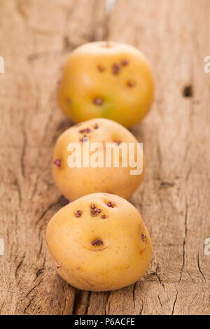 La pomme de terre ou de pommes de terre jaune créole sur la vieille table en bois (Solanum phureja) Banque D'Images