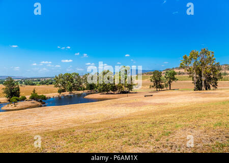 Hollydene Estate Wines situé dans la partie supérieure en plaines Jerrys Hunter Banque D'Images