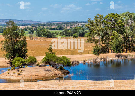 Hollydene Estate Wines situé dans la partie supérieure en plaines Jerrys Hunter Banque D'Images