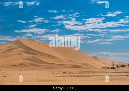Dune 7, une très grande zone de dunes de sable à l'edbge du désert du Namib près de la ville portuaire de Walvis Bay, Namib-Naukluft National Park, la Namibie. Banque D'Images