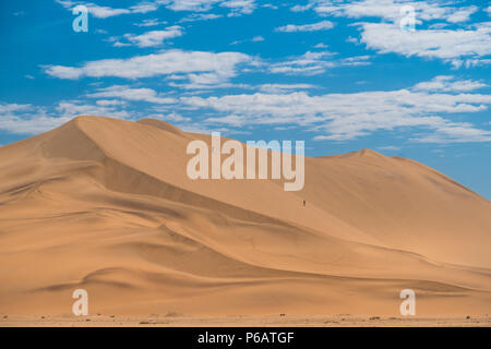 Dune 7, une très grande zone de dunes de sable à l'edbge du désert du Namib près de la ville portuaire de Walvis Bay, Namib-Naukluft National Park, la Namibie. Banque D'Images