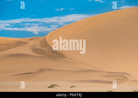 Dune 7, une très grande zone de dunes de sable à l'edbge du désert du Namib près de la ville portuaire de Walvis Bay, Namib-Naukluft National Park, la Namibie. Banque D'Images