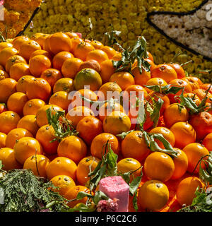 Grand panier de magnifiques oranges de Sicile Banque D'Images