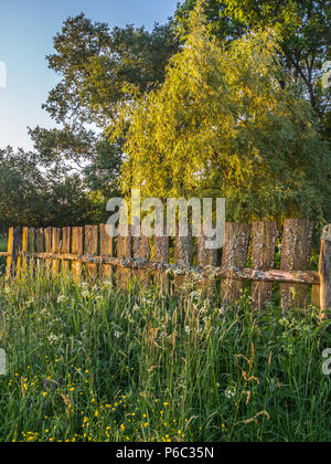 Une vieille clôture en bois, couverts de mousse dans les rayons du soleil levant. Podlasie. Podlasie. La Pologne, l'Europe. La région est appelée Podlasko Podlasze ou Banque D'Images