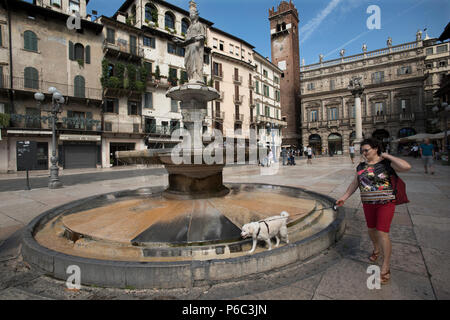 Piazza della Erbe E Fontana di Madonna Verona Verona est une ville sur la rivière Adige Vénétie, Italie, avec environ 257 000 habitants et l'un des Banque D'Images