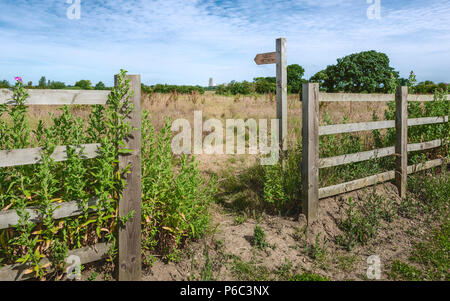 Sentier public à travers champ en jachère à l'ancien ministre sur cette journée d'été à Beverley, Yorkshire, UK. Banque D'Images