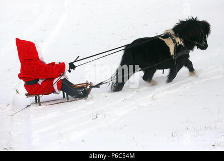 Oberoderwitz, le père Noël fait une promenade en traîneau avec son poney Shetland Banque D'Images