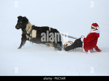 Oberoderwitz, le père Noël fait une promenade en traîneau avec son poney Shetland Banque D'Images