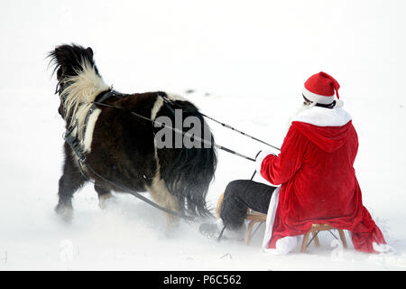 Oberoderwitz, le père Noël fait une promenade en traîneau avec son poney Shetland Banque D'Images