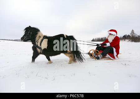 Oberoderwitz, le père Noël fait une promenade en traîneau avec son poney Shetland Banque D'Images