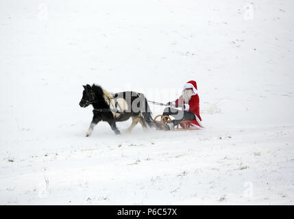 Oberoderwitz, le père Noël fait une promenade en traîneau avec son poney Shetland Banque D'Images