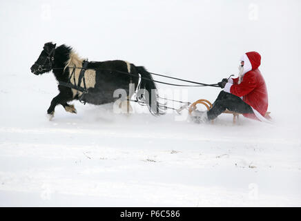 Oberoderwitz, le père Noël fait une promenade en traîneau avec son poney Shetland Banque D'Images