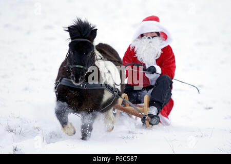 Oberoderwitz, le père Noël fait une promenade en traîneau avec son poney Shetland Banque D'Images