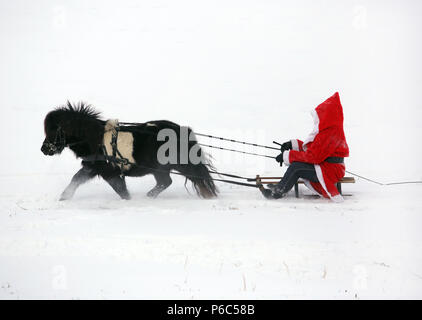 Oberoderwitz, le père Noël fait une promenade en traîneau avec son poney Shetland Banque D'Images