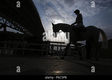 Doha, silhouette de cheval et cavalier à l'entrée de l'équitation Banque D'Images