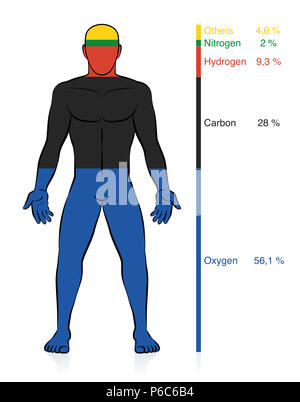 Composition chimique du corps humain. L'oxygène, le carbone, l'hydrogène et l'azote, les éléments chimiques organiques de base plus pour cent de l'information de masse. Banque D'Images