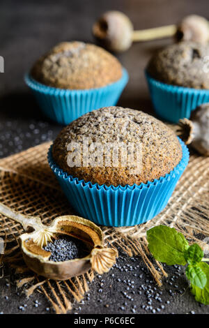 Des muffins aux graines de pavot en bonne santé Banque D'Images