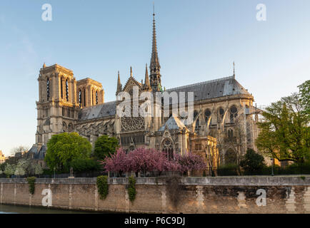 Vue du matin sur la cathédrale notre Dame, Paris France, au printemps de la rue Saint Julien. Banque D'Images