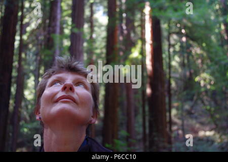 Femme(52) écoutant Sequoia dans une douce brise dans les Bois de Muir, Californie