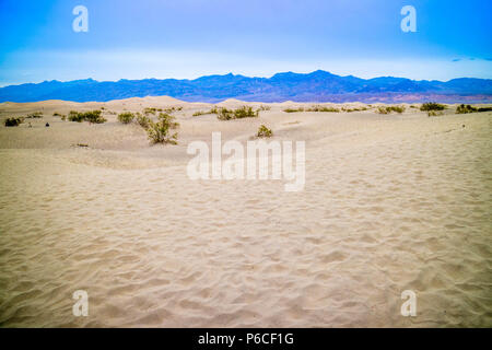 Télévision Mesquite sand dunes in Death Valley National Park Banque D'Images