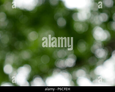 Abstrait d'un cercle vert flou artistique d'arrière-plan flou. Banque D'Images