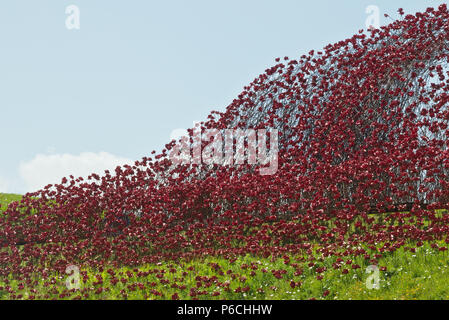 L 'Wave' coquelicots en céramique à Fort Nelson, Portsmouth, Hampshire, Royaume-Uni. Une partie de la 'Blood a balayé les terres et les mers de l'installation d'art Red' Banque D'Images