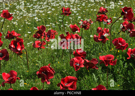 L 'Wave' coquelicots en céramique à Fort Nelson, Portsmouth, Hampshire, Royaume-Uni. Une partie de la 'Blood a balayé les terres et les mers de l'installation d'art Red' Banque D'Images