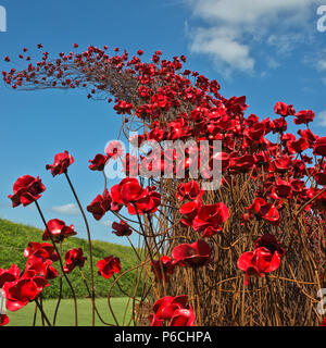 L 'Wave' coquelicots en céramique à Fort Nelson, Portsmouth, Hampshire, Royaume-Uni. Une partie de la 'Blood a balayé les terres et les mers de l'installation d'art Red' Banque D'Images