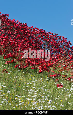 L 'Wave' coquelicots en céramique à Fort Nelson, Portsmouth, Hampshire, Royaume-Uni. Une partie de la 'Blood a balayé les terres et les mers de l'installation d'art Red' Banque D'Images