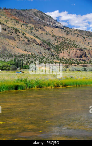 Ana River, été lac de faune, de l'Oregon Outback Scenic Byway, Oregon Banque D'Images