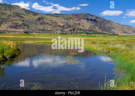 Ana River, été lac de faune, de l'Oregon Outback Scenic Byway, Oregon Banque D'Images