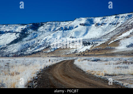 Refuge d'hiver route de Rim, été lac de faune, de l'Oregon Outback Scenic Byway, Oregon Banque D'Images