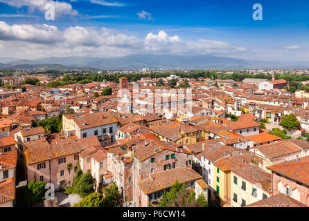 Vue aérienne de la vieille ville de Lucques avec toit en terre cuite de la Méditerranée sur les bâtiments des rues étroites, Toscane, Italie Banque D'Images