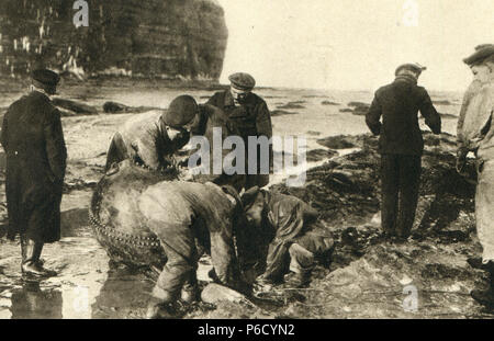 La première guerre mondiale, British sea mine, ww1, la première guerre mondiale, la première guerre mondiale Banque D'Images