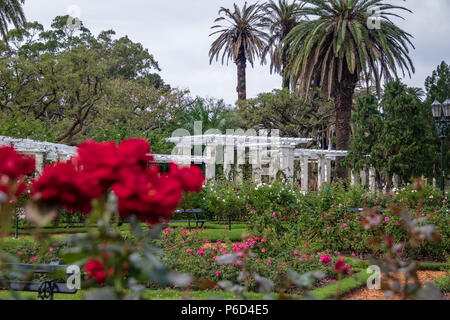 Pergola à El Rosedal Lac Rose Park à Bosques de Palermo (Palermo Woods) - Buenos Aires, Argentine Banque D'Images