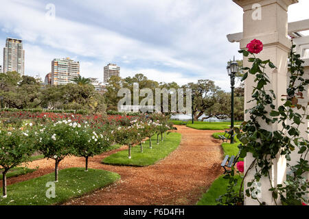 El Rosedal Rose Park à Bosques de Palermo (Palermo Woods) - Buenos Aires, Argentine Banque D'Images