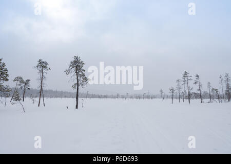 Un skieur dans un paysage enneigé en Laponie finlandaise Banque D'Images