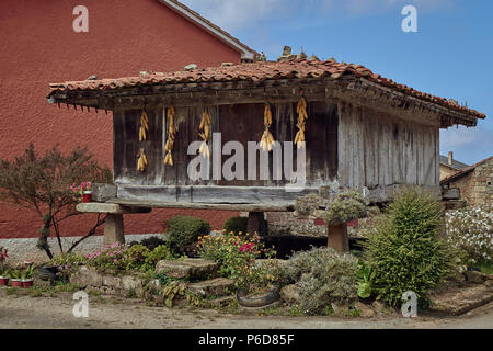 Hórreo asturien avec des épis de maïs dans la région de Lastres, déclaré plus beau village d'Espagne, Asturies Banque D'Images