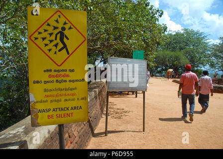 Panneau d'avertissement de la zone d'attaque du guêpe, forteresse du Rocher Sigiriya, Sigiriya, province centrale, Sri Lanka. Banque D'Images