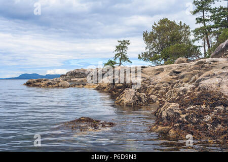 Marée basse sur un jour d'été nuageux révèle les algues et les balanes le long du littoral rocheux de grès de Wallace Island Marine Park, British Columbia. Banque D'Images