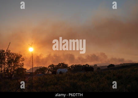 West Pennine Moors , Royaume-Uni, 29 juin 2018. Les incendies on Rivington Pike et Winter Hill se répandent largement de fumée sur les villes à l'ouest. Banque D'Images