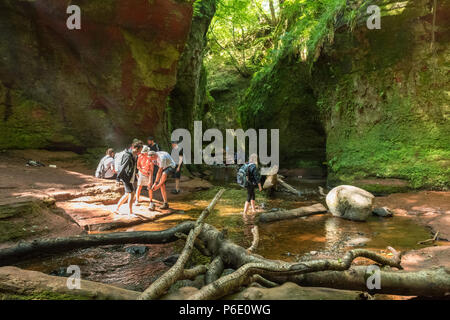 Sterlingshire, UK, 30 juin 2018. Devil's Pulpit, Glen Finnich, Stirlingshire, Scotland, UK - 30 juin 2018 : France - un soleil illuminant Finnich Glen dans Stirlingshire. Il y a eu une augmentation marquée du nombre de visiteurs à l'endroit de beauté juste à l'extérieur de Killearn après son utilisation comme un film emplacement dans Outlander et autres films. Malheureusement cependant, en raison de la nature du site cela a conduit à une hausse des appels d'urgence et des problèmes avec la litière et parking dangereux sur les routes à proximité. Banque D'Images