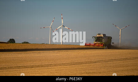Wriedel, Allemagne. 29 Juin, 2018. L'orge d'hiver est récolté avec une moissonneuse-batteuse dans la soirée. Credit : Philipp Schulze/dpa/Alamy Live News Banque D'Images