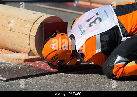 Seesen (Allemagne). 30 Juin, 2018. Marco Berghoefer, démarreur à la tronçonneuse Cup, complète le Praezisionsschnitt "discipline" (lit. precision cut). Près de 55 participants sont en concurrence pour le titre de 'Niedersaechsischer Waldarbeitsmeister' (lit. Basse-saxe Champion forestier). Credit : Swen Pförtner/dpa/Alamy Live News Banque D'Images