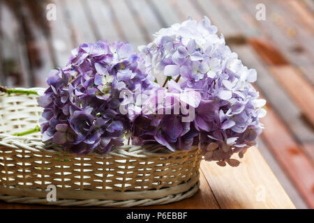 L'Hydrangea dans un panier sur une table en bois Banque D'Images