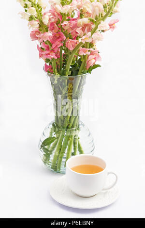 Bouquet de fleurs snapdragon dans un vase et une tasse de thé sur fond blanc Banque D'Images