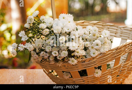 Asters fleurs blanches dans un panier sur la table en bois Banque D'Images