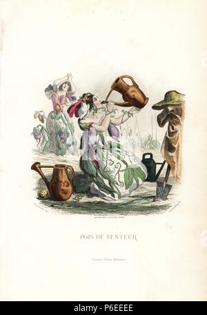 Pois de soif, Lathyrus odoratus, fleur fée à genoux sur le sol de l'eau potable de la tuyère d'un arrosoir. Gravure coloriée par C. Geoffrois après une illustration par Jean Ignace Isidore Grandville de 'Les Fleurs Animees,' Paris, Gabriel de Gonet, 1847. Banque D'Images