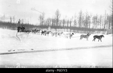 . Anglais : équipe de traîneau à chiens sur la piste avec chien de tête incontrôlé, ca. 1912 . Anglais : Légende sur l'image : le 'Leader' lâche Alaska PH Coll 247,388 avant la formation de course de chiens de traîneau comme un sport officiel, chiens de traîneau ont été produites et utilisées par les peuples autochtones des régions polaires du monde dans leur vie de tous les jours pour la survie dans des climats rigoureux. Deux chiens de traîneau sont employées couramment dans les Malamutes et les Huskies de Sibérie. Ces deux races avaient tout à fait les différentes origines et usages. Les malamutes provient d'un groupe d'Esquimaux, connu sous le nom de Mahlemiut. Les chiens de l'époque étaient très grandes Banque D'Images